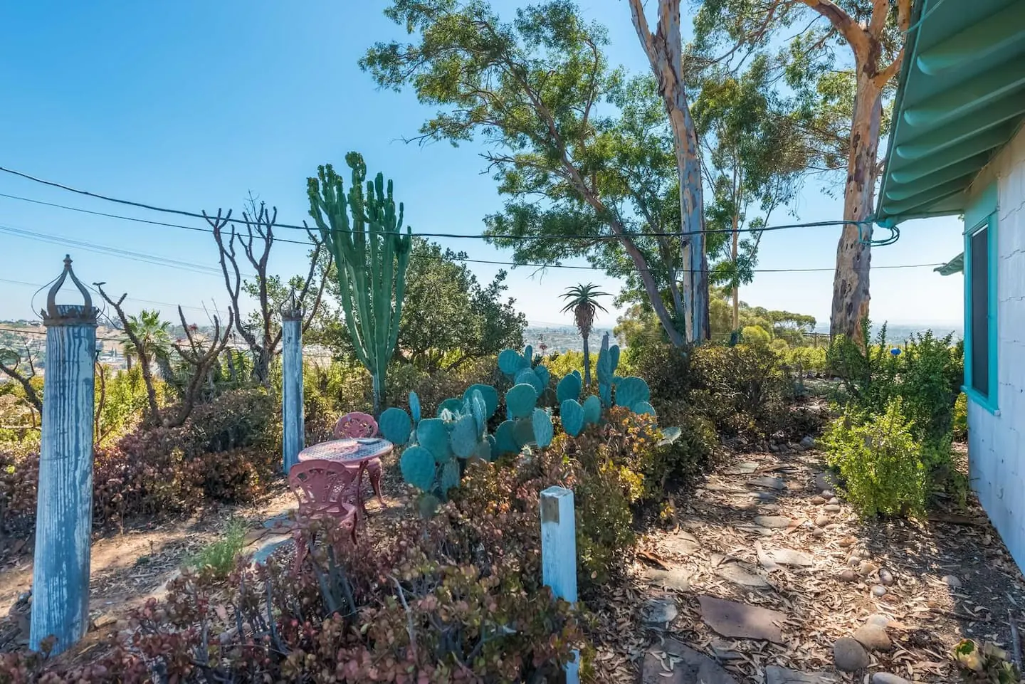 Cactus garden