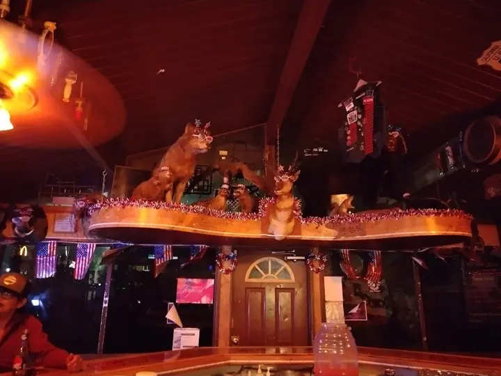 The Bearclaw Saloon