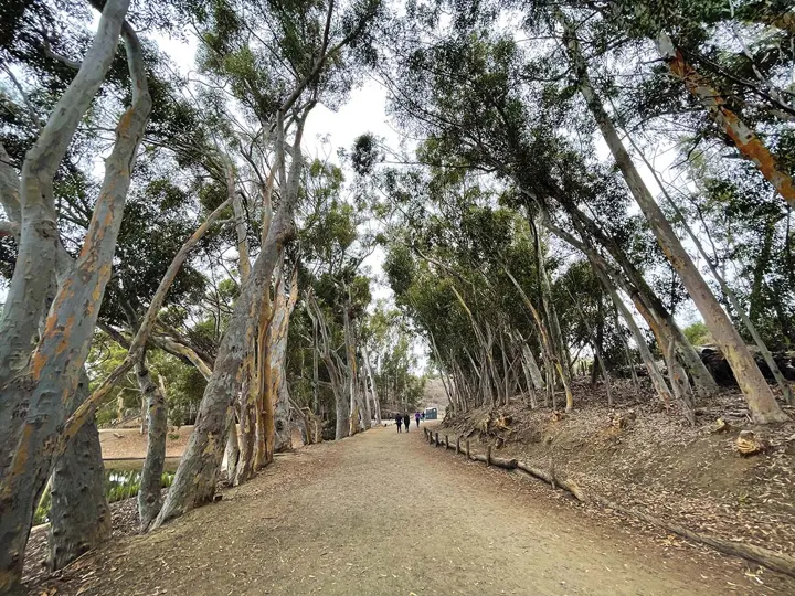 Chollas Lake Park