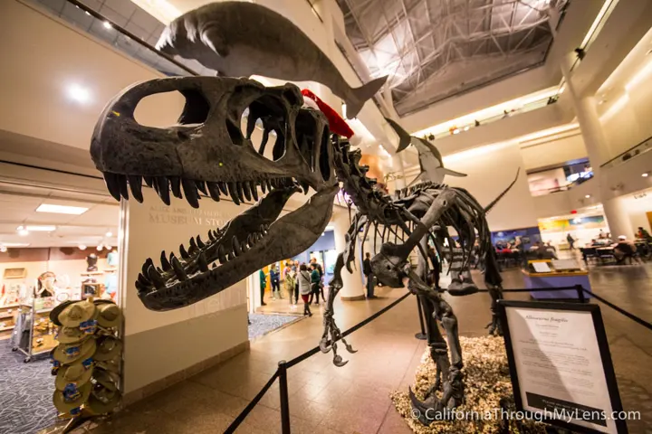 Natural History Museum