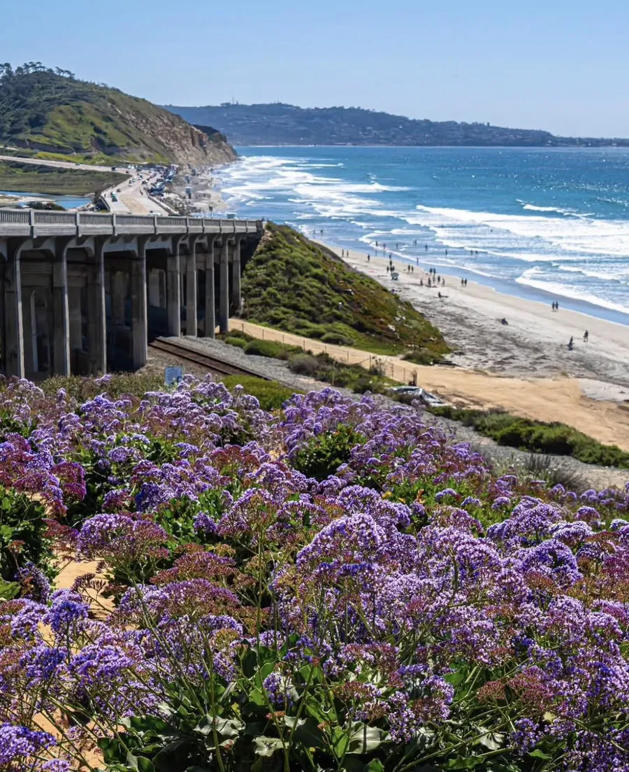 Torrey Pines State Natural Reserve
